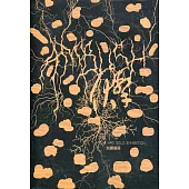 伏擊：倪灝個展[精裝]