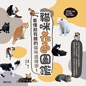 貓咪花色圖鑑：看懂超有趣的貓咪遺傳學!