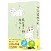 撿回來的貓摩卡3