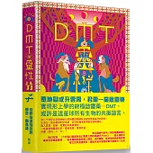 DMT：靈性分子