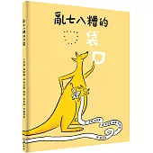 亂七八糟的口袋