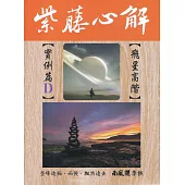 紫藤心解【飛星高階】‧ 實例篇D冊