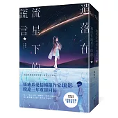 遺落在流星下的謊言【上下冊套書】