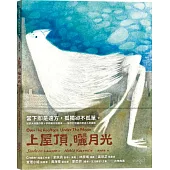 上屋頂，曬月光