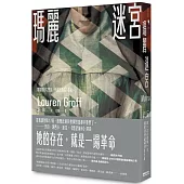 瑪麗迷宮【《完美婚姻》作者得獎新作】