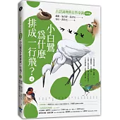 小白鷺為什麼排成一行飛?：古詩詞裡的自然常識4【鳥類篇】