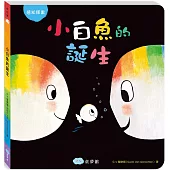 小白魚的誕生(感知探索)