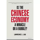 Is the Chinese Economy a Miracle or a Bubble?