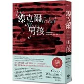 鎳克爾男孩(普立茲小說獎作品)