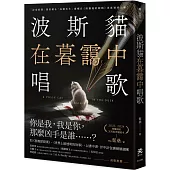 波斯貓在暮靄中唱歌