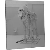 A Few Exercises in Mourning