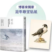 遊隼：自然文學經典，追隨幻影的詩意凝視【博客來獨家限量貼紙】