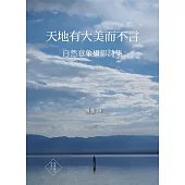 天地有大美而不言