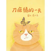刀疤橘的一天