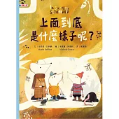 上面到底是什麼樣子呢?