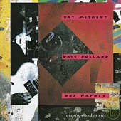 Pat Metheny / Question And Answer