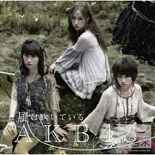 AKB48 / 風正在吹〈Type-A〉(CD+DVD)