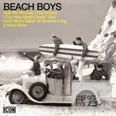 The Beach Boys / Icon