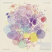 Jimi Goodwin / Odludek