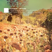 Schubert and Brahms complete Duo Vol.2 / Pieter Wispelwey
