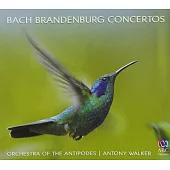 Bach Brandenburg concertos / Antony Walker
