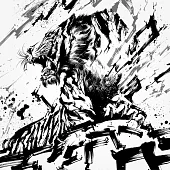 T.M.Revolution / RAIMEI  (CD+DVD初回盤)