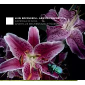 鮑凱里尼協奏曲