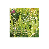陳志成老師 / 身心深度呼吸法(CD)