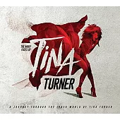 合輯 / 你有所不知的蒂娜·透娜 (美版進口版 / 3CD)