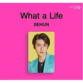 燦勳 EXO-SC - CASHBEE TRANSPORTATION CARD 交通卡 世勳 (韓國進口版)