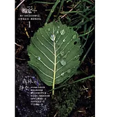 楊定一 / 《森林的靜坐》線上音頻兌換卡