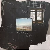 Novo Amor / Collapse List (進口版LP黑膠唱片)