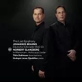 最後的頓悟 / 男中音Hedayet Djeddikar演唱布拉姆斯德國民謠歌曲