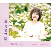 柯婉樺 / 等待情花開 (單曲)