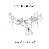 Stornoway / Best of Unplucked (進口版LP彩膠唱片)