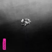 Little Simz / Lotus (進口版CD)