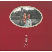 宋冬野 安和橋北 45轉 2LP(日版)