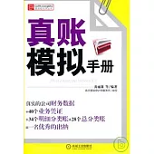 真賬模擬手冊