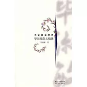 名家散文經典:畢淑敏散文精選