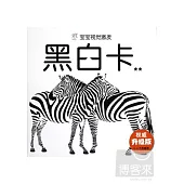 寶寶視覺激發：黑白卡2