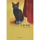 盲貓荷馬的生命奇跡