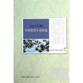 2013年中國微型小說精選
