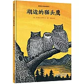 湖邊的貓頭鷹
