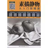 自學畫畫·素描靜物從入門到精通