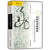 忍辱負重的使命：美國外交官記載的南京大屠殺與劫后的社會狀況