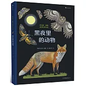 黑夜裡的動物