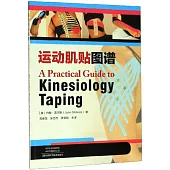 運動肌貼圖譜