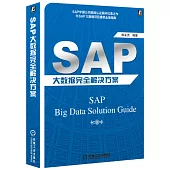SAP大數據完全解決方案