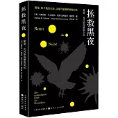 拯救黑夜：星空、光污染與黑夜文化