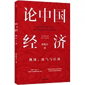 論中國經濟：挑戰、底氣與後勁
